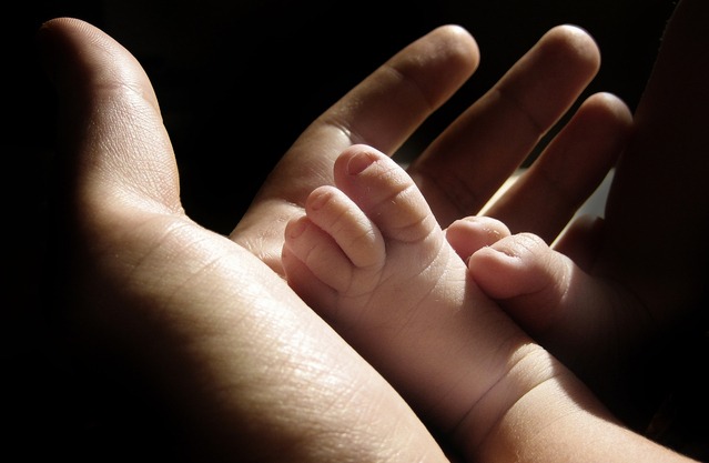 Adult hand holding a baby's hand